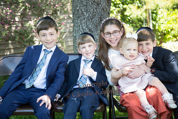 CK157828